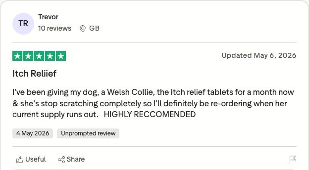 Genuine Trustpilot customer review screenshot