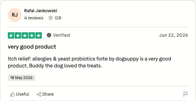 Genuine Trustpilot customer review screenshot