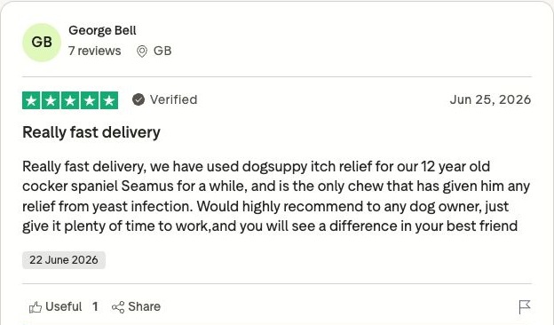 Genuine Trustpilot customer review screenshot