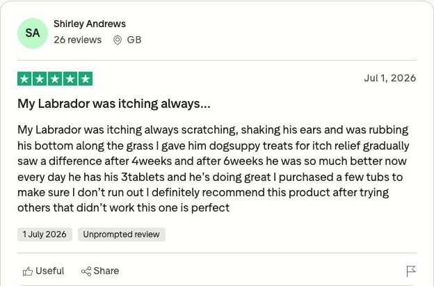 Genuine Trustpilot customer review screenshot