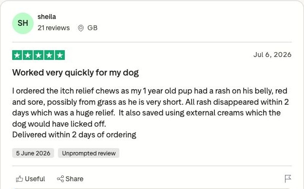 Genuine Trustpilot customer review screenshot