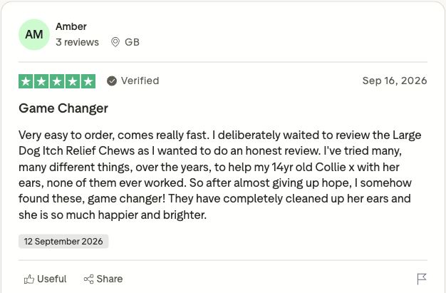 Genuine Trustpilot customer review screenshot