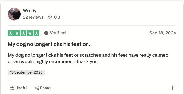 Genuine Trustpilot customer review screenshot