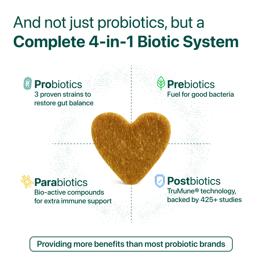 DogSuppy complete 4-in-1 biotic system
