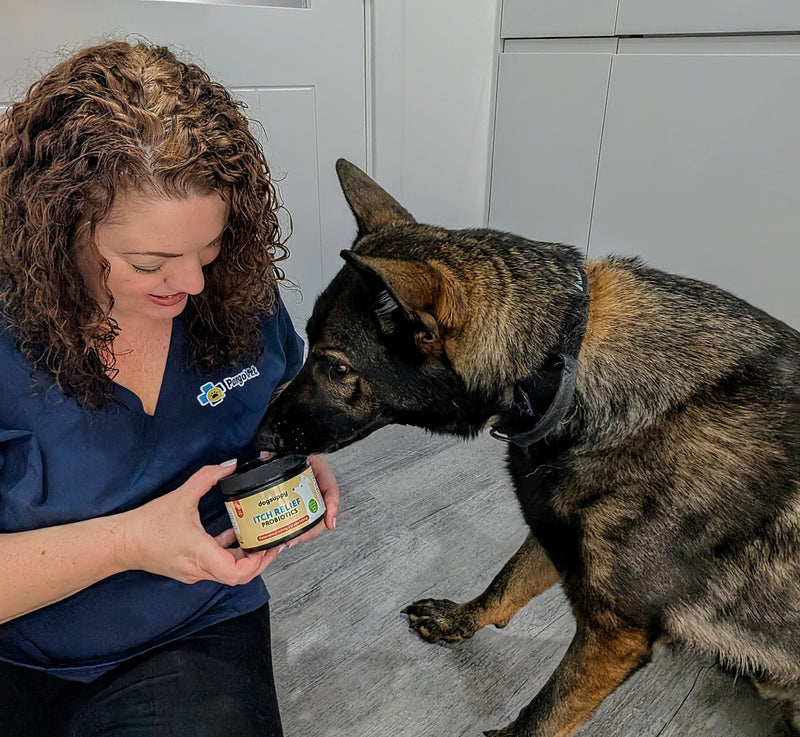 DogSuppy team member with a dog and Itch Relief tub