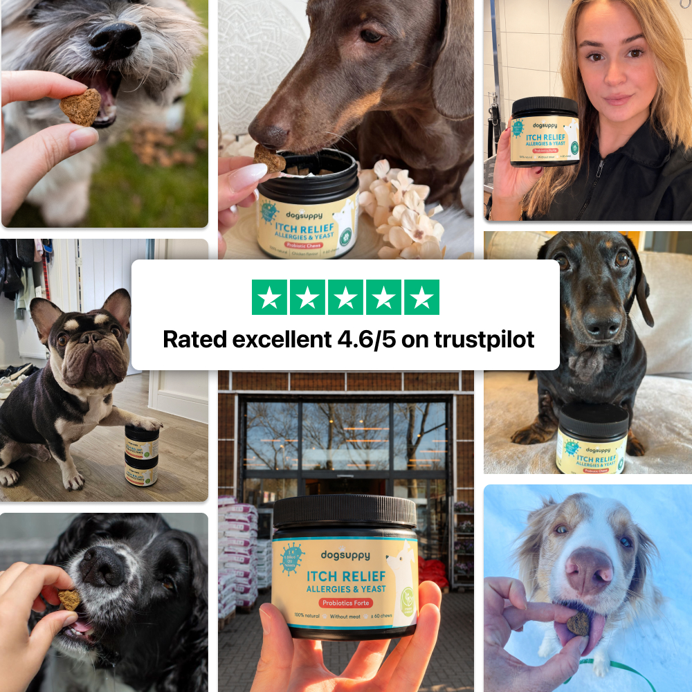 DogSuppy customers and their dogs